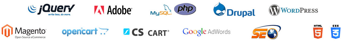 Web development services in chennai