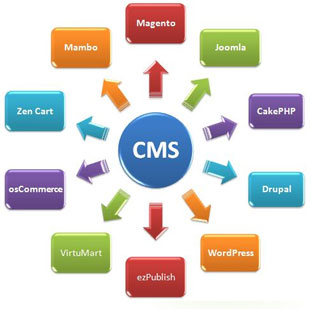Content Management System