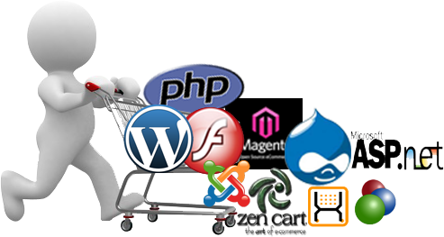 web development company in chennai