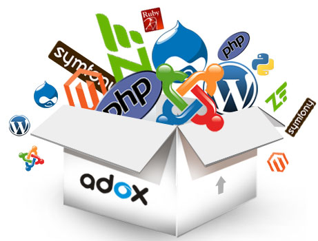 web development company in chennai